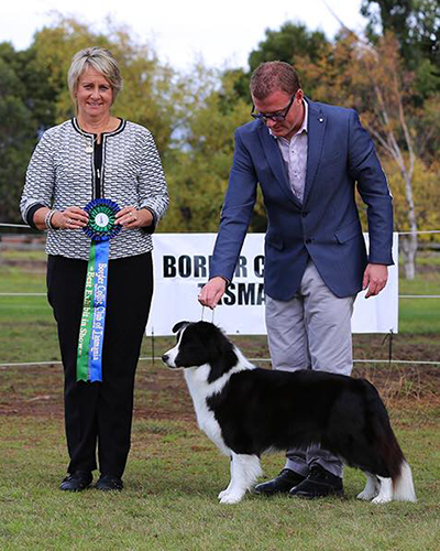 Sup Ch Allclarity Collectors Edition ET