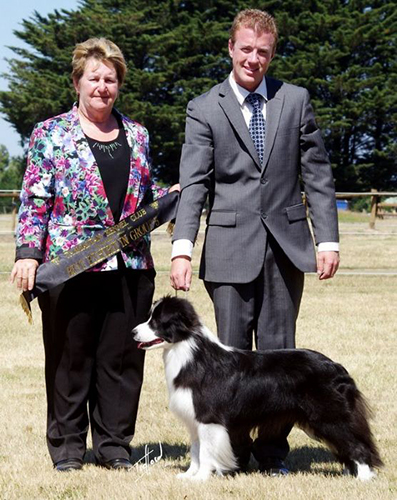 Sup Ch Tehya Twilights Fire HT ET