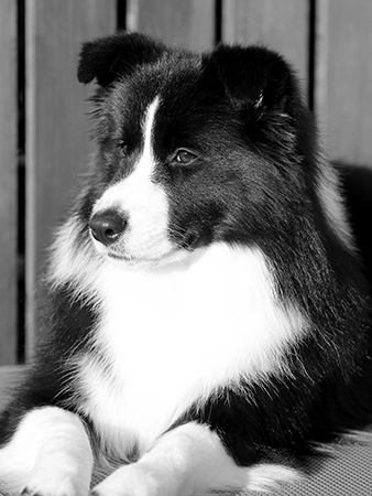 Allclarity Matter of Factor